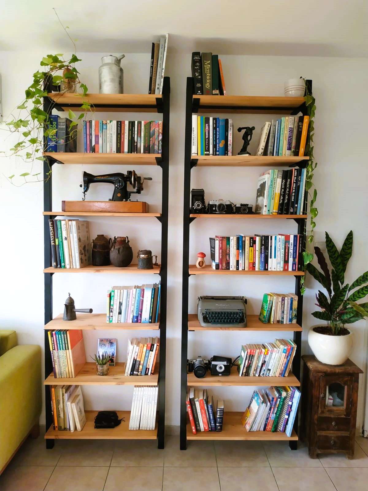 פתרונות מיוחדים